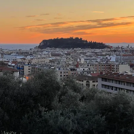 Golden Luxury And Panoramic View Ницца